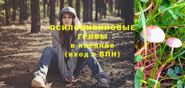 ALPHA PVP Снежинск
