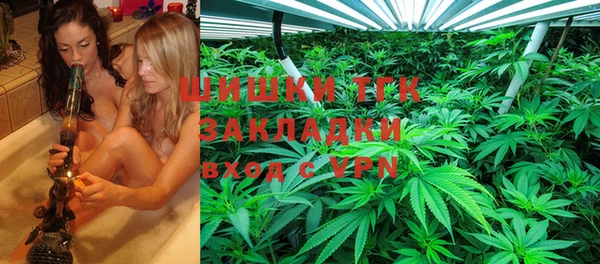 прущие крисы Аркадак